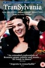 Смотреть Трансильвания на HDrezka онлайн в HD качестве 720p