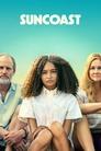 Смотреть Солнечное побережье на хдрезка онлайн в HD качестве 720p