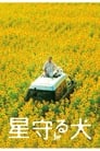Смотреть Пёс, смотрящий на звезды на HDrezka онлайн в HD качестве 720p