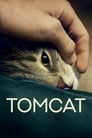 Смотреть Кот на хдрезка онлайн в HD качестве 720p