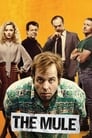 Смотреть Мул на хдрезка онлайн в HD качестве 720p