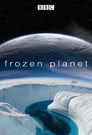 Смотреть BBC: Замерзшая планета на HDrezka онлайн в HD качестве 720p