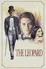 Смотреть Леопард на хдрезка онлайн в HD качестве 720p