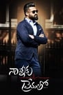 Смотреть Nannaku Prematho на хдрезка онлайн в HD качестве 720p
