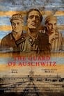 Смотреть Стражник Освенцима на хдрезка онлайн в HD качестве 720p