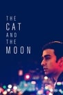 Смотреть Кошка и луна на хдрезка онлайн в HD качестве 720p