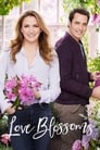 Смотреть Расцвет любви на хдрезка онлайн в HD качестве 720p