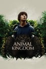 Смотреть Королевство зверей на хдрезка онлайн в HD качестве 720p