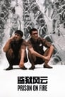 Смотреть Тюремное пекло на хдрезка онлайн в HD качестве 720p